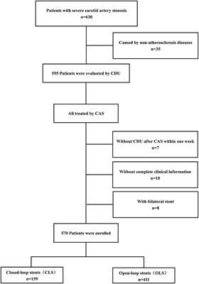 Risk Factors for Residual Stenosis After Carotid Artery Stenting